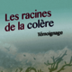 Les racines de la colère